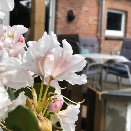 Haferland - Fritz, Naehe Hof Oberlethe Wardenburg