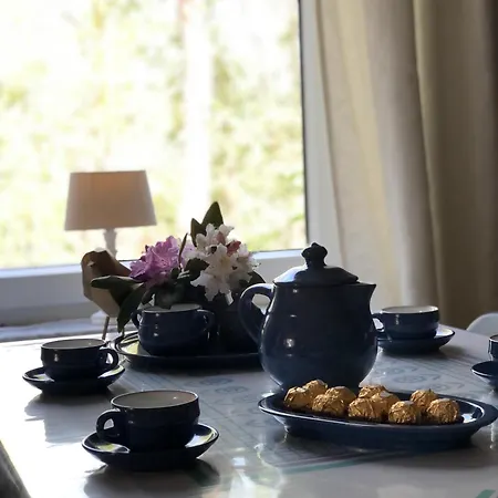 Apartment Haus Alma 1 *